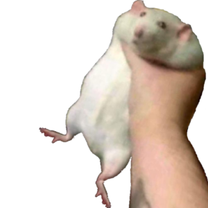 asdasdsadsadasddas